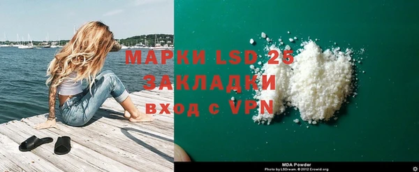 прущие грибы Корсаков