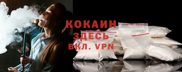 прущие грибы Корсаков
