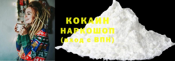 прущие грибы Корсаков