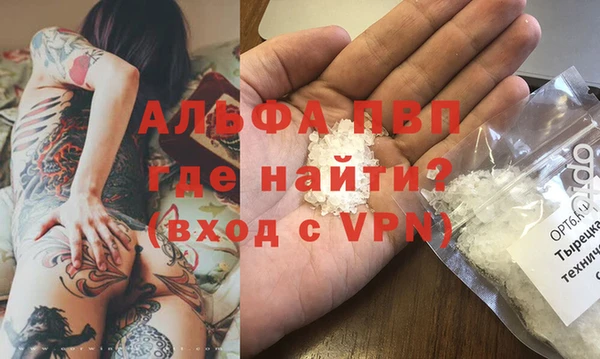 прущие грибы Корсаков