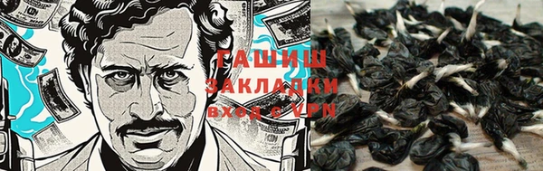 прущие грибы Корсаков