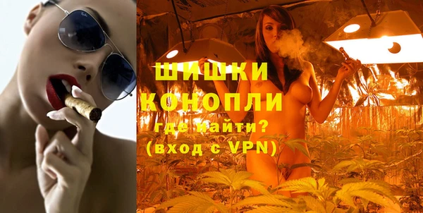 прущие грибы Корсаков