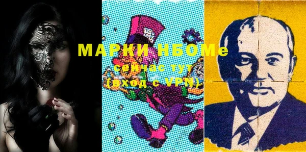 прущие грибы Корсаков