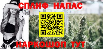 круглые Кингисепп