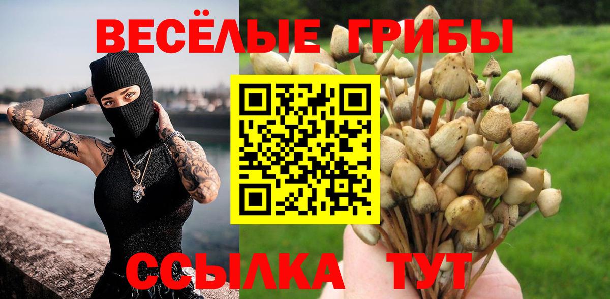 Псилоцибиновые грибы ЛСД  Галлюциногенные грибы Magic Shrooms  Котовск  Вход с VPN 