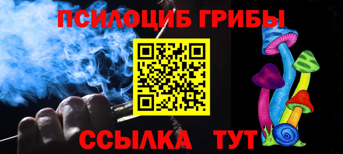 Псилоцибиновые грибы Psilocybine cubensis Котовск